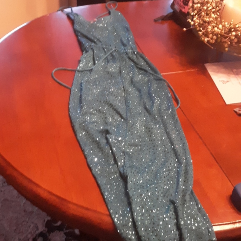 Long beautiful dress